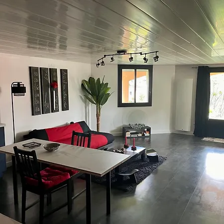 Comme Dans Un Ecrin - T2 De 50 M² Avec Jardin, Terrasse Et Piscine Apartment Vernaison